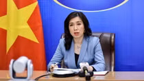 MoFA: Flight resumption must meet Vietnam’s health requirements