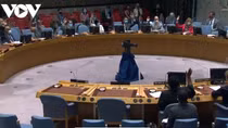 Vietnam calls for promoted dialogue and negotiations on Israeli-Palestinian issue