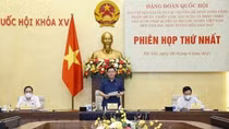 Strategy for building rule-of-law socialist State debated