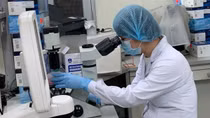 Vietnam taking measures to prevent new coronavirus variant Omicron infection