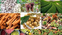 Great opportunity for Vietnamese farm exports to UK