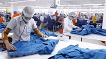 New firms up 70.4% in Q4