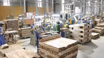 India decides not to impose anti-dumping duty on MDF boards from Vietnam