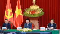 Vietnamese, Lao Party officials hold online talks