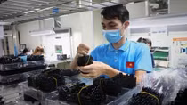 Ho Chi Minh City yet to show signals of business recovery