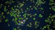 Local photographer receives honourable mention at global photo contest