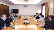 Vietnamese, Swiss parties boost cooperation