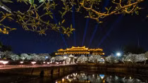 Thua Thien-Hue delays opening of Imperial Citadel night street zone