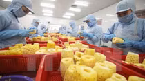Agro-forestry-aquatic product rake in US$38.75 billion