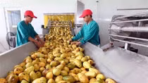 Room remains for Vietnamese exports to Russia