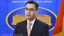 Vietnam pledges to protecting universal human rights values: Deputy FM