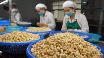 Vietnam seeks to promote agricultural exports to Turkey