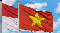 Vietnam, Indonesia seek to boost healthcare, economic, and tourism co-operation