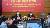 Shrimp exports likely to reach US$3.9 billion this year