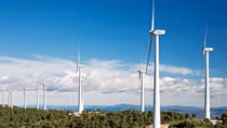 Belgian and Russian investors keen on Vietnamese offshore wind power projects