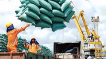 Positive outlook for local rice exports by year-end