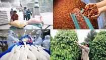 Agro-forestry-fisheries exports hit record high at US$48.6 billion
