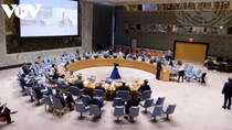 Nation calls for combat of illicit trade of small arms and light weapons
