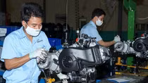 EVFTA a golden opportunity for Vietnam to recover after pandemic