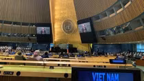 Vietnam enjoys rising stature, prestige in global arena