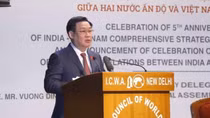 Vietnam, India mark five years of comprehensive strategic partnership