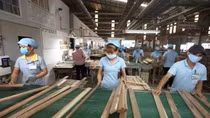 Seven-month forestry exports up by 55%