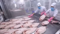 EVIPA ensures FDI flow in medium to long term