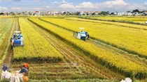 New mindset needed in agricultural production