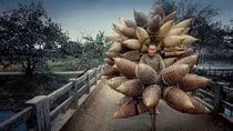 Local photographer wins consolation prize at Travel Photos of Year 2021