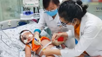 Dengue fever cases show signs of increase in Vietnam