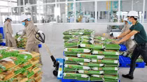 "Vietnam Rice" to further promote in foreign markets