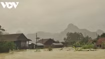 East Sea expects up to eight storms and tropical depressions this year