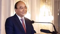 President Phuc meets overseas Vietnamese community representatives