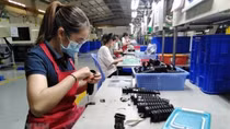 Vietnamese Government always creates best possible conditions for foreign firms, investors