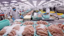 Vietnam seeks to increase pangasius exports to Australia