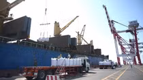 Export activities bustle on first workday after Tet