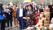 Foreign diplomats join friendship spring tour in Hanoi