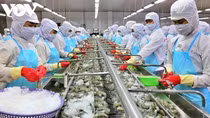 Vietnam represents third largest seafood exporter globally