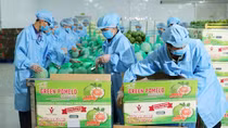 Vietnam strives to increase competitiveness for exports to US market