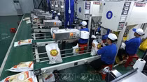 Vietnam becomes Singapore’s largest rice exporter