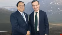 Strong Vietnam-Sweden cooperation prospects from more than half a century of friendship: ambassador