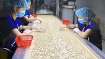 Vietnamese economy forecast to expand at 5.5 % in Q1