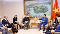 Vietnam welcomes Denmark's renewable projects: Deputy PM