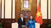 Acting President receives new Japanese Ambassador to Vietnam