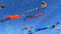 Quang Nam kite international festival 2024 attracts tourists to Hoian