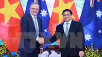 Bringing Vietnam – Australia ties to new development page