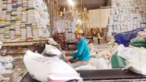 Vietnam's rice export surges in Q1 2024