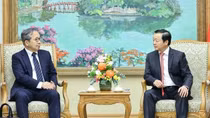 Vietnam, Japan seek to foster partnership within AZEC framework