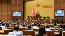 NA hear report on crime prevention and control