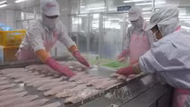 Vietnam's H1 seafood exports hit 4.4 billion USD